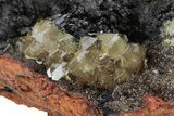 Gemmy Adamite Crystals on Matrix - Ojuela Mine, Mexico #219819-1